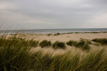 Sanddünen am Strand