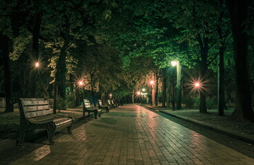 Obraz premium The tiled road in the night green park with lanterns in spring. A benches in the park during the spring season at night. Illumination of a park road with lanterns at night. Mariinsky Park. Ukraine