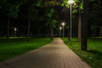 The tiled road in the night green park with lanterns in spring. A benches in the park during the spring season at night. Illumination of a park road with lanterns at night. Mariinsky Park. Ukraine - Powered by Adobe