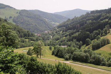 Fototapeta na wymiar Blick auf den Schwarzwald
