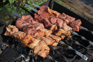 Grilled pork and chicken meat on skewers. Concept background for a summer family barbecue outdoors