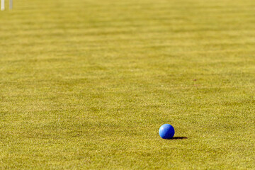 blue croquet ball on the lawn on a sunny day, minimalism