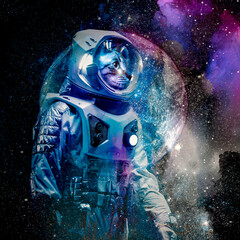 cat astronaut in space color art © reznik_val
