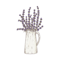 Beautiful bouquet lavender flowers in vase a vector sketch illustration.