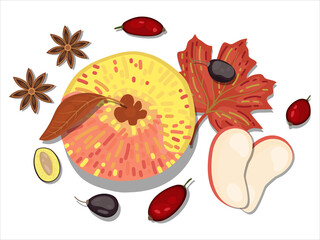 hand-drawn flat Lay, Food knolling style vector illustration of  ingredient, isolated on white background. Autumn vegan ingredient; apple, star anise, prune, red winter berry and dry leaves 
