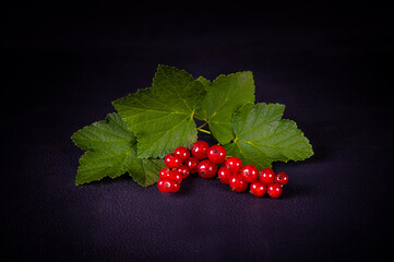 Rote Johannisbeeren auf schwarzem Hintergrund mit grünen Blättern