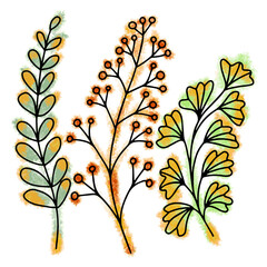 Hand drawn vector pattern of abstract herbs composition. Stock illustration of line plants on color spots.