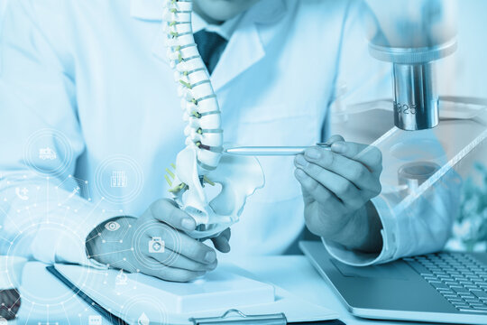 Spine disease research concept.