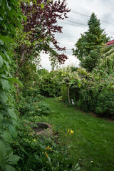 My beautiful garden in Ukraine