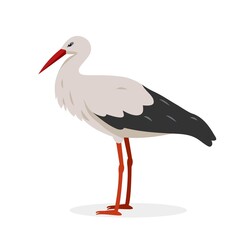 White black Stork bird cartoon or flat icon