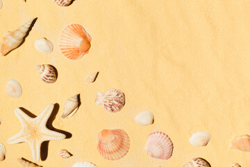 Fototapeta na wymiar Creative seashell pattern on sand background with copy space. Minimal sunlight tropical flat lay arrangement.