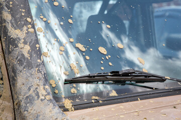 Dirty car with unwashed windshield in spots of dry mud, front part of the vehicle front view close...