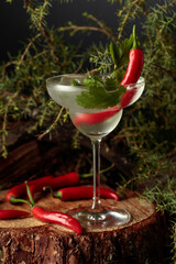 Gin and Tonic cocktail with red pepper and coriander.