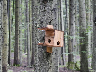 wooden bird house