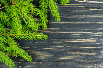 Green spruce branches close-up on a dark wooden background.