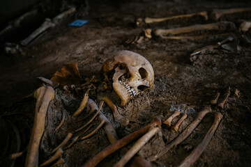 Old human skeleton in ancient tomb at archaeological excavation - obrazy, fototapety, plakaty