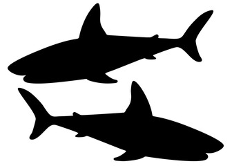Wild and dangerous sharks. Vector image.