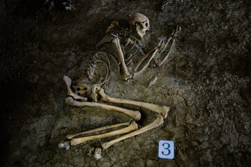 Old human skeleton in ancient tomb at archaeological excavation - obrazy, fototapety, plakaty