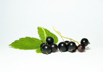 black currant isolated on white background