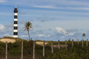 Calcanhar lighthouse, coconut tree, blue sky in Brazil