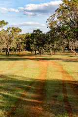 Fototapeta na wymiar Dirt path on grass ground and reddish earth amidst trees