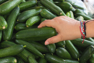 Selección de pepino en mercado mexicano