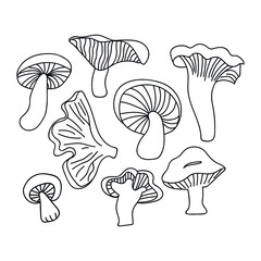 Hand drawn mushrooms set for autumn decoration. Doodle vector illustration. Isolated on a white background.