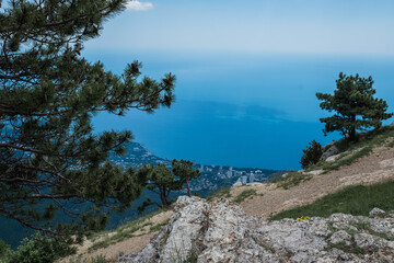 Fototapeta na wymiar Beautiful pine tree against the backdrop of mountains and blue cloudy sky.Beauty of nature. Pure ecology. Crimea mountains. 