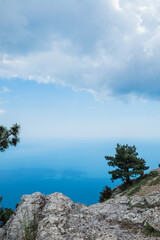 Beautiful pine tree against the backdrop of mountains and blue cloudy sky.Beauty of nature. Pure ecology. Crimea mountains. 