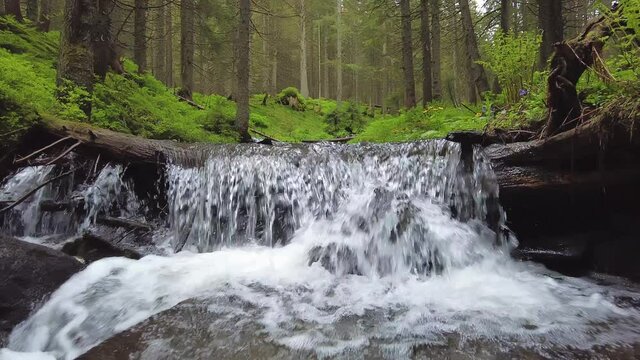 Forest mountain stream in the Ukrainian Carpathians and a small natural waterfall on it.