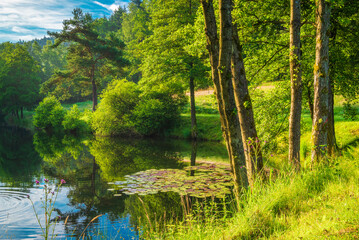 Fototapeta na wymiar See im Haseltal in Bad Orb mit Seerosen auf dem Wasser 