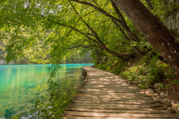 Wooden path with crystal clear blue water. green forest. summer time at Plitvice Lakes in Croatia