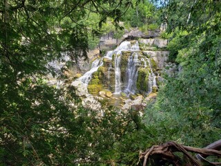 waterfall in the forest