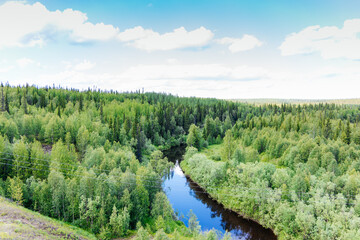 Forest River. Beautiful wild places. Nature of the North