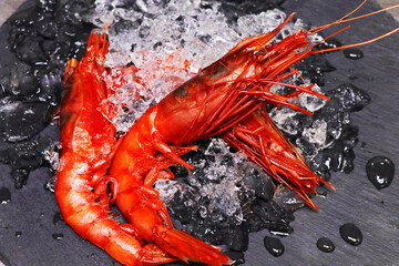 italian red prawns or shrimps known as gambero rosso