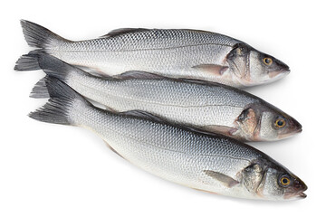 Sea bass fich isolated on white background with clipping path. Top view. Flat lay