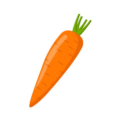 illustration vector graphic of Vegetable organic food fresh carrot isolated on white background vector illustration in flat style