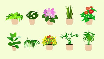vecot houseplant illustration eps 10
