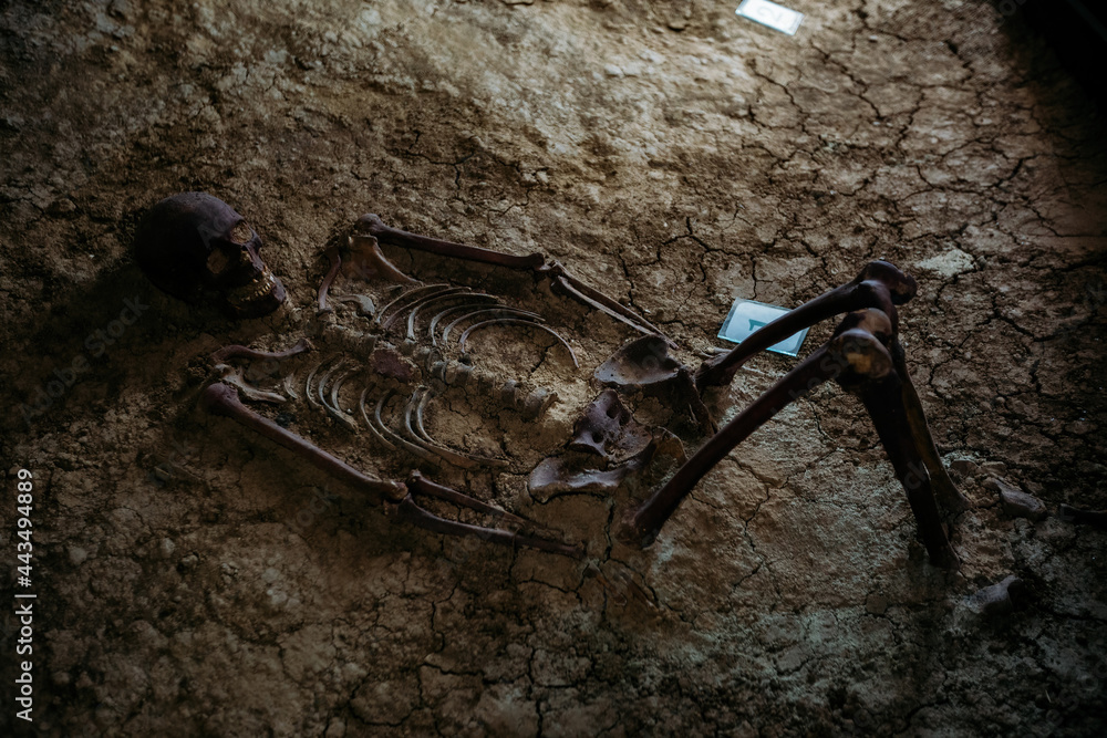 Wall mural old human skeleton in ancient tomb at archaeological excavation