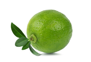 Lemon lime with leaves isolated on a white background