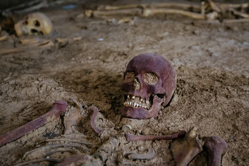 Old human skeleton in ancient tomb at archaeological excavation