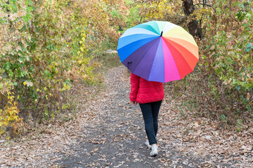 Back view of young female under colorful umbrella walking in autumn park by footpath.