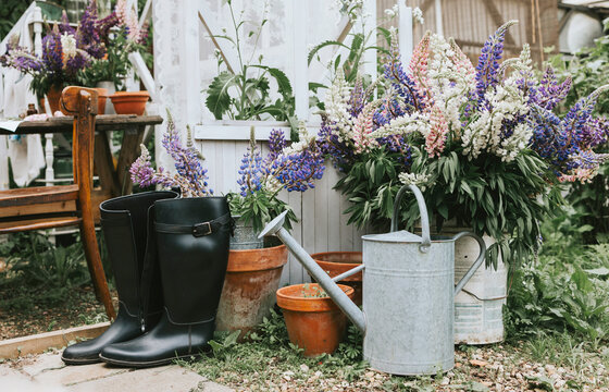 porch of white retro terrace in the summer garden decorated with vintage details, bouquets of wildflowers lilac lupines, flower watering can and rubber boots