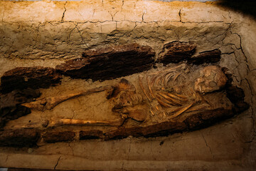 Old human skeleton in ancient tomb at archaeological excavation