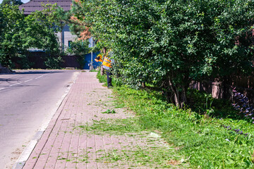 A worker mows the grass with a gasoline scythe.