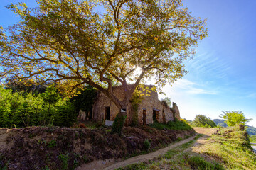Old ruined stone made farmhouse on a rural countryside landscape