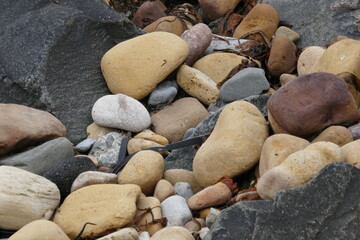 Coloured stones on pebble beach