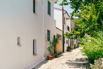 Fototapeta premium Sunny narrow street in old village Omodos on Cyprus. Stone walls and vibrant green plants on a sunny day.