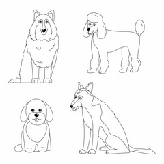 Maltipoo, shepherd, poodle and collie dogs colouring page. Outline vector illustration  on white background
