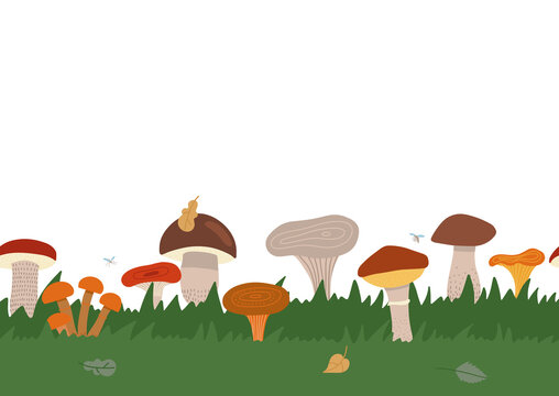 Autumn Texture Seamless Border With Green Grass And Different King Of Mushrooms. Mushroom Mycelium Into Repeat Invitations, Decor, Packaging, Greeting Cards, Stationary. Flat Vector Illustration.